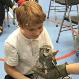 Picture of a pupils holding an owl during Hallow Green day