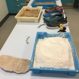 Photograph of equipment to make shoe sole casts