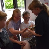 Photograph of pupils holding and petting owls and snakes.