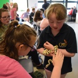 Photograph of pupils holding and petting owls and snakes.