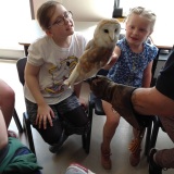 Photograph of pupils holding and petting owls and snakes.