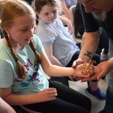 Photograph of pupils holding and petting owls and snakes.