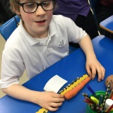 Photograph of a pupil measuring a carrot