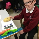 Photograph of a pupil weighing a potato